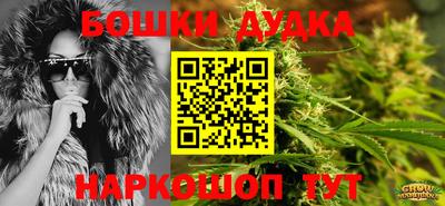 стаф Лесосибирск