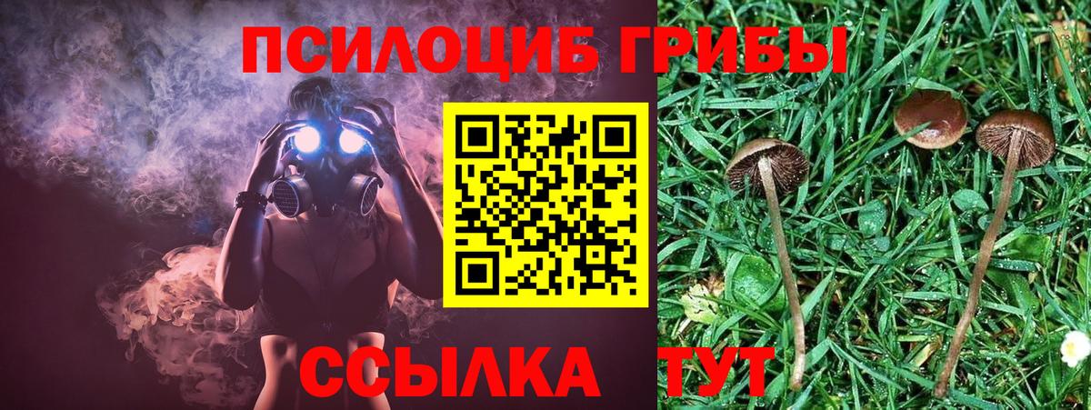 Великие Луки  Псилоцибиновые грибы MAGIC MUSHROOMS  Вход с VPN  Псилоцибиновые грибы мухоморы 